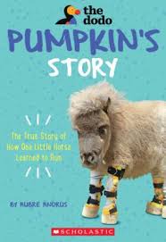 Link to book trailer for The Dodo - Pumpkin's story
